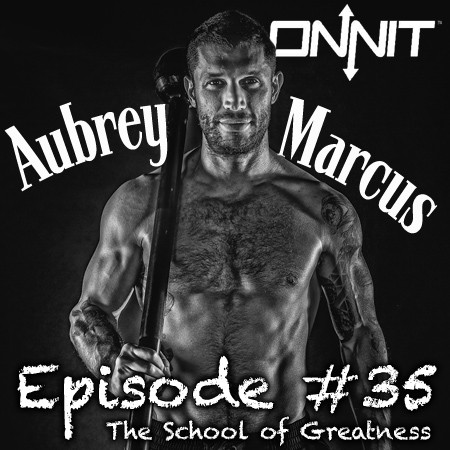 Aubrey Marcus on the School of Greatness podcast with Lewis Howes