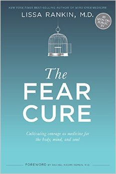 the fear cure book